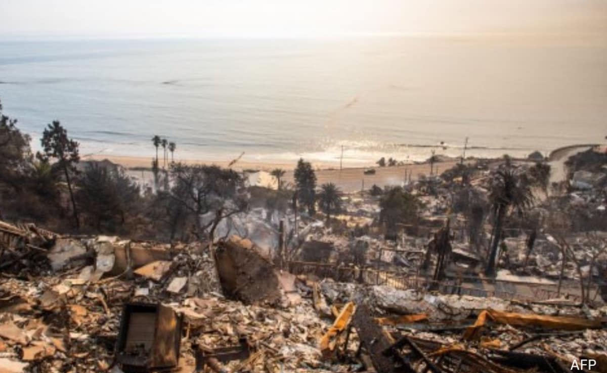 The Los Angeles Wildfires: A Glimmer Of The Future Of Disaster Betting? The Los Angeles Wildfires: A Glimmer Of The Future Of Disaster Betting?