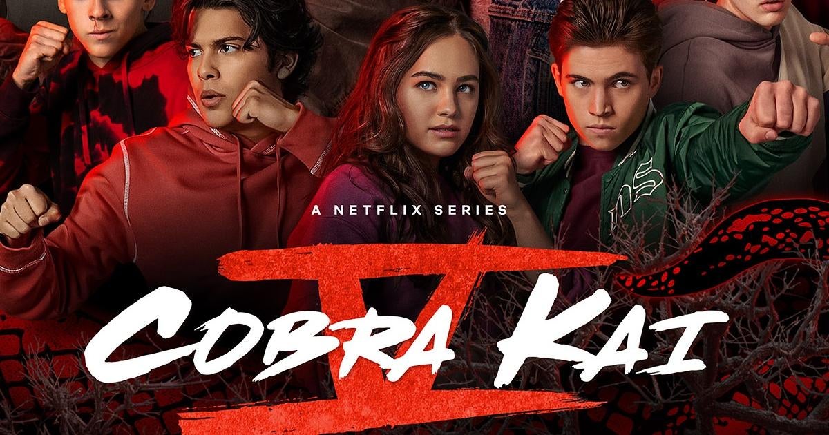The Netflix Cobra Kai Series: Its Deep Roots In The Karate Kid Franchise The Netflix Cobra Kai Series: Its Deep Roots In The Karate Kid Franchise