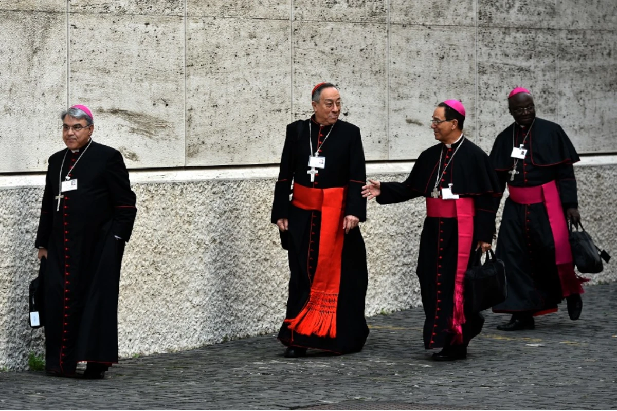 The Next Pope: Nine Leading Contenders And Their Visions For The Catholic Church The Next Pope: Nine Leading Contenders And Their Visions For The Catholic Church