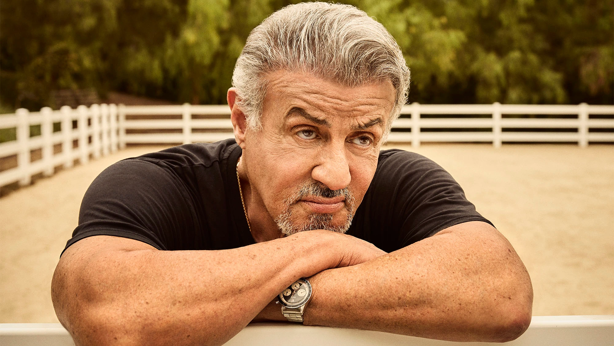 The One Movie Sylvester Stallone Directed But Didn't Star In: A Box Office Bomb The One Movie Sylvester Stallone Directed But Didn't Star In: A Box Office Bomb