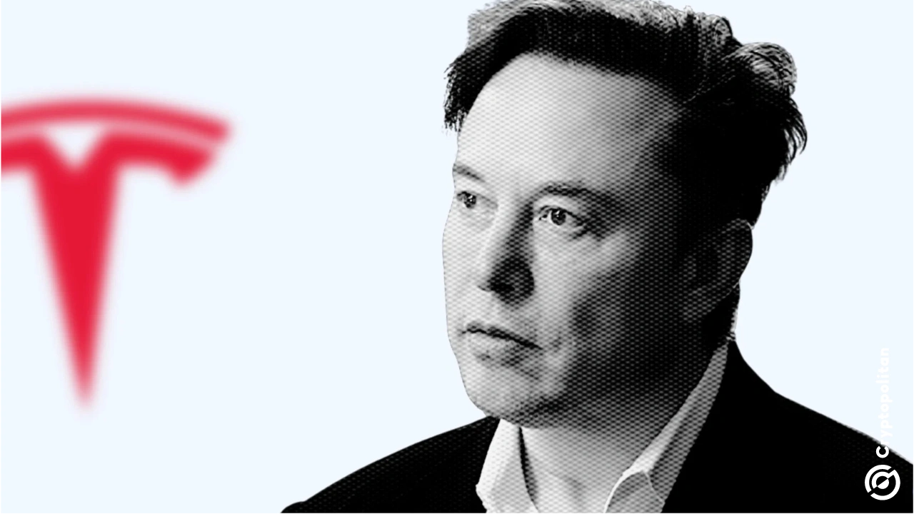 The Return Of Angry Elon: Implications For Tesla Investors The Return Of Angry Elon: Implications For Tesla Investors