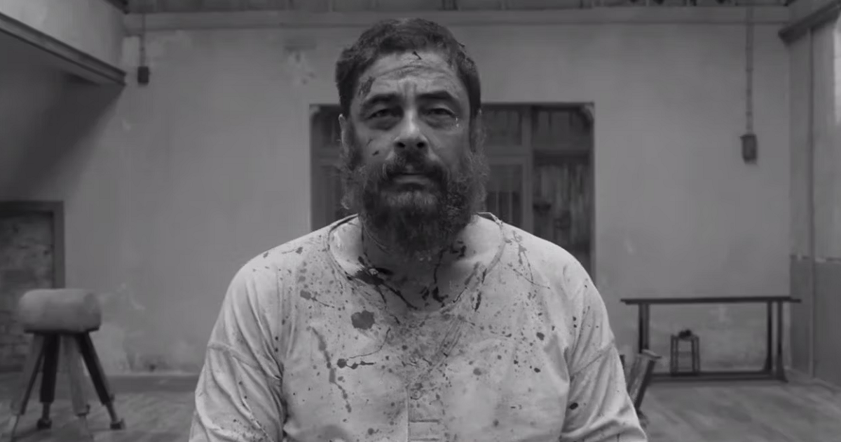 The Scheme Designed For Benicio Del Toro: A Hell Of A Gift The Scheme Designed For Benicio Del Toro: A Hell Of A Gift