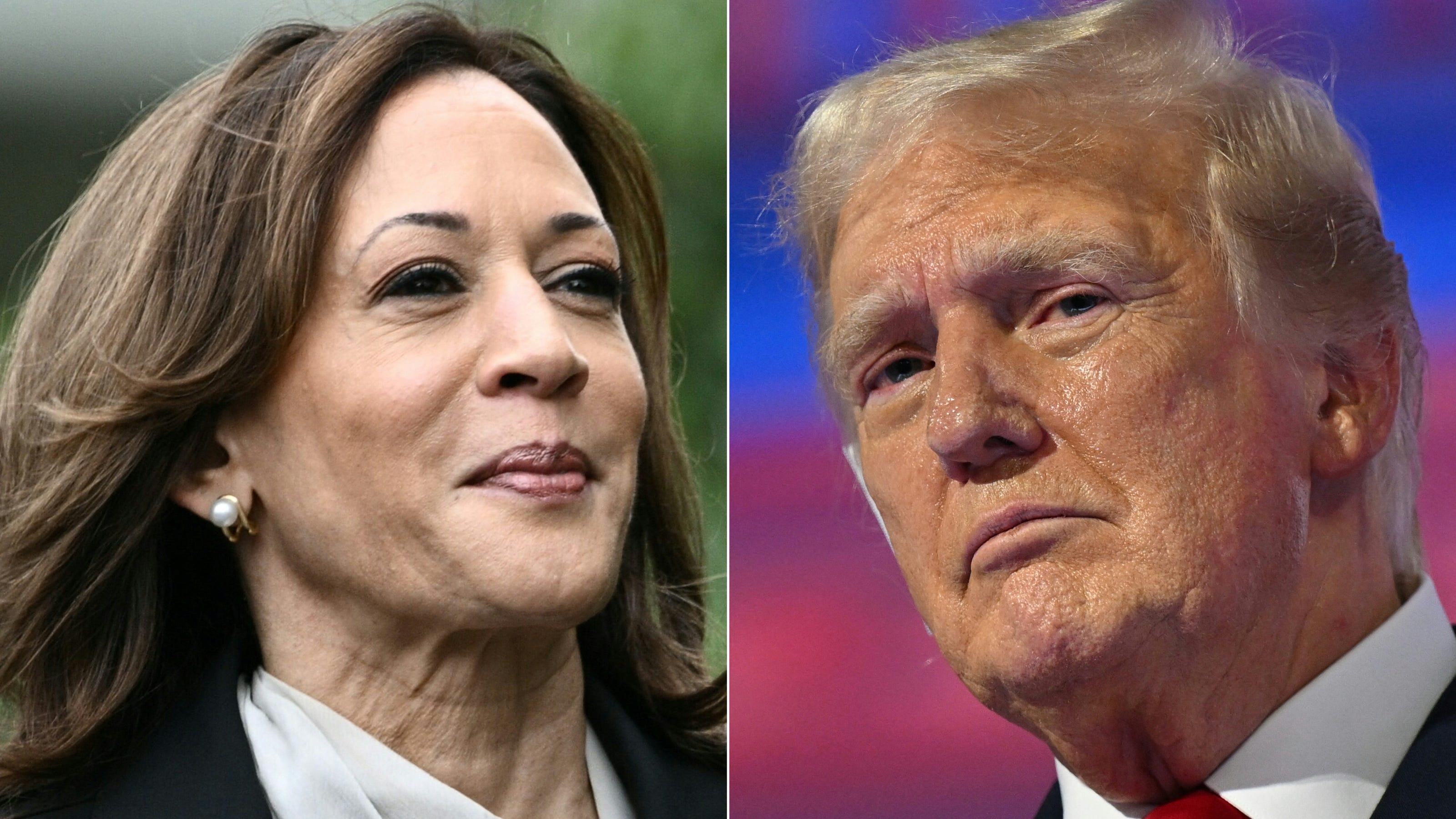 The Trump Tariff Debate: A Fox News Host's Financial Counterpoint The Trump Tariff Debate: A Fox News Host's Financial Counterpoint