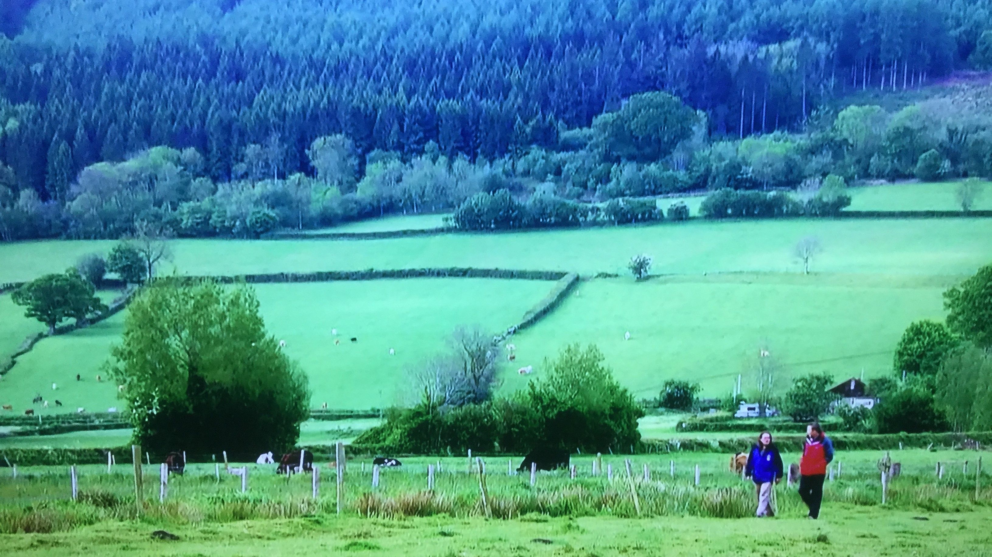 The Ultimate Guide To An Escape To The Country The Ultimate Guide To An Escape To The Country