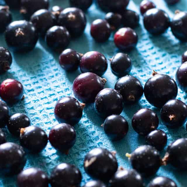 The Ultimate Guide To Cassis Blackcurrant Cocktails The Ultimate Guide To Cassis Blackcurrant Cocktails