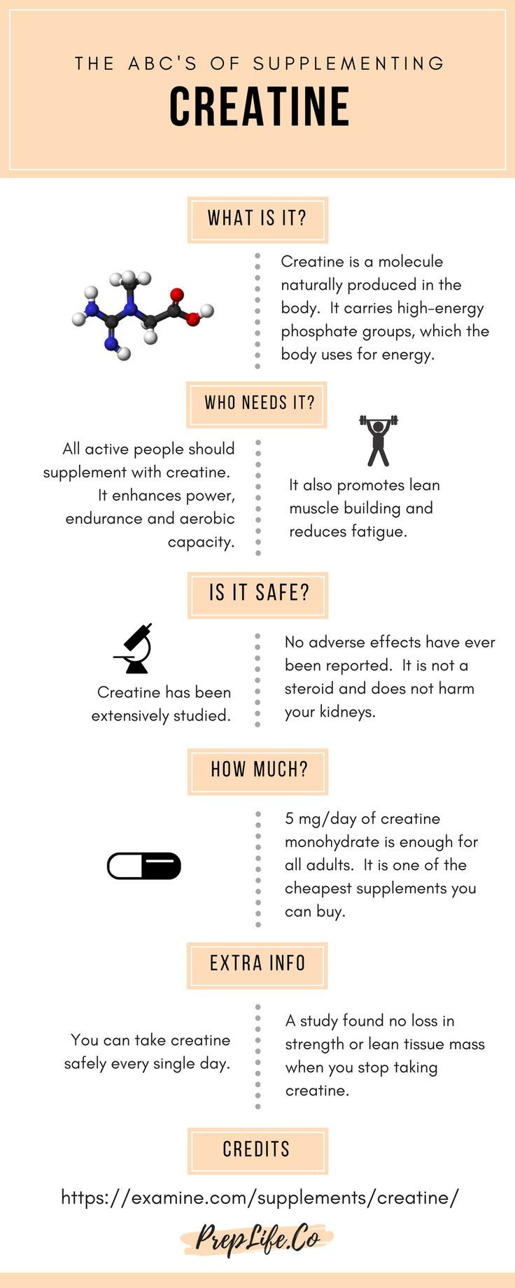 The Ultimate Guide To Creatine Supplementation The Ultimate Guide To Creatine Supplementation