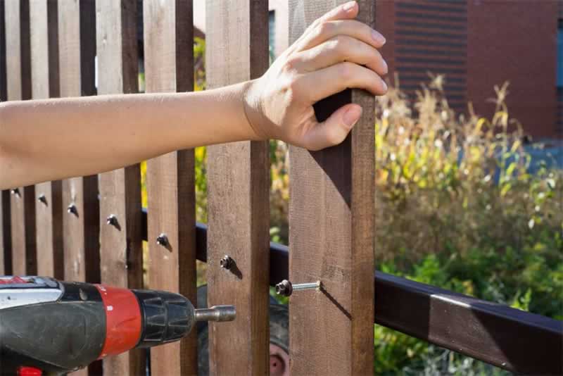 The Ultimate Guide To Living Fence Construction