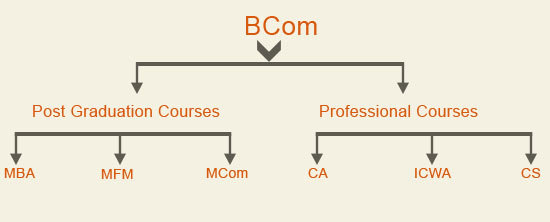 The Unexpected Turn: Jacob Alon's Career Choice After Dentistry The Unexpected Turn: Jacob Alon's Career Choice After Dentistry
