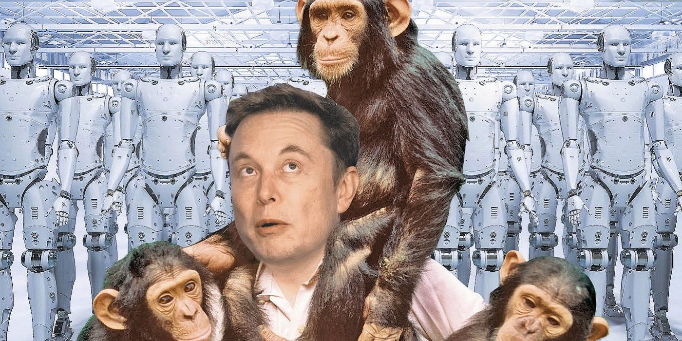 Three Months To Success: The Monkey Reboot's Challenge Three Months To Success: The Monkey Reboot's Challenge