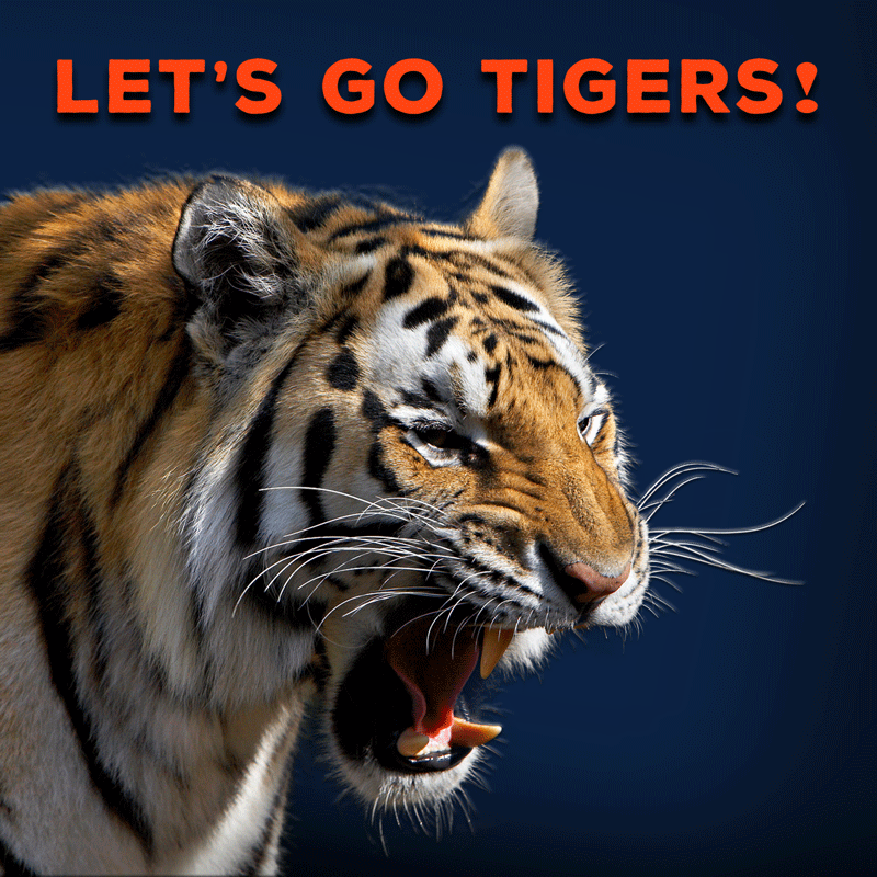 Tigers' Opening Win: 9-6 Triumph Against Mariners Tigers' Opening Win: 9-6 Triumph Against Mariners