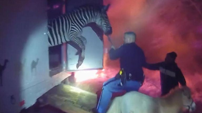 Toddler Choking On Tomato: Dramatic Rescue By Police Caught On Bodycam Toddler Choking On Tomato: Dramatic Rescue By Police Caught On Bodycam