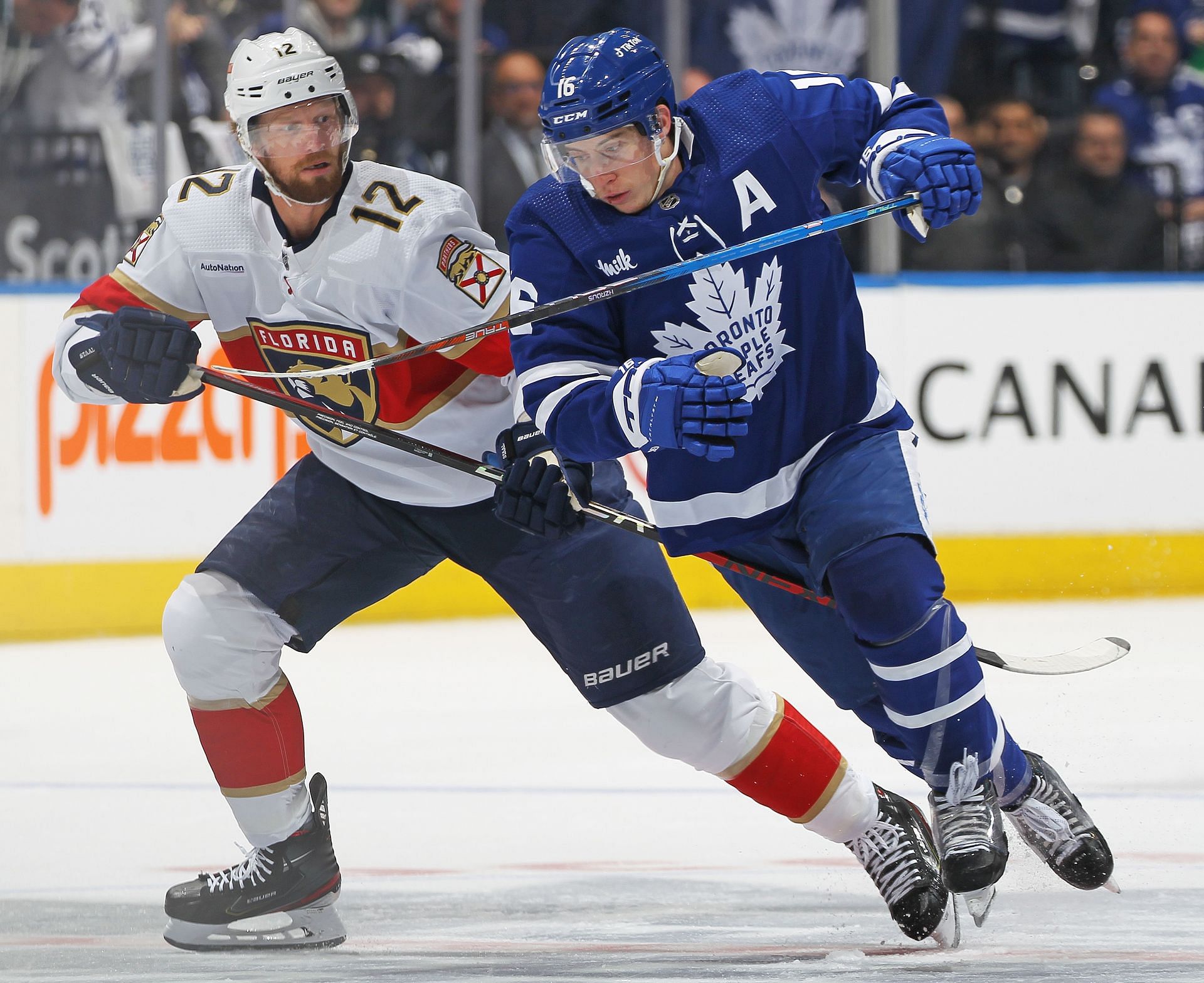 Toronto Maple Leafs One Point Away From Playoffs Against Florida Panthers Toronto Maple Leafs One Point Away From Playoffs Against Florida Panthers