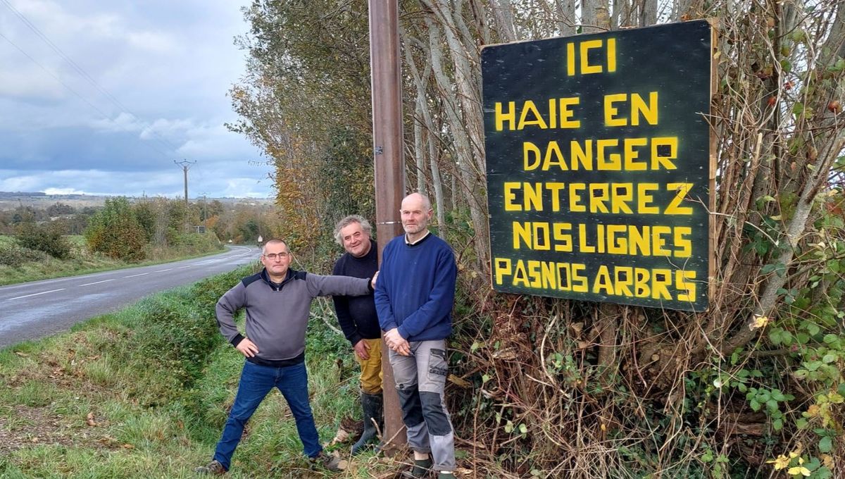 Trois Jeunes Du Bocage Ornais : Un Périple De 8 000 Km Sans Stress