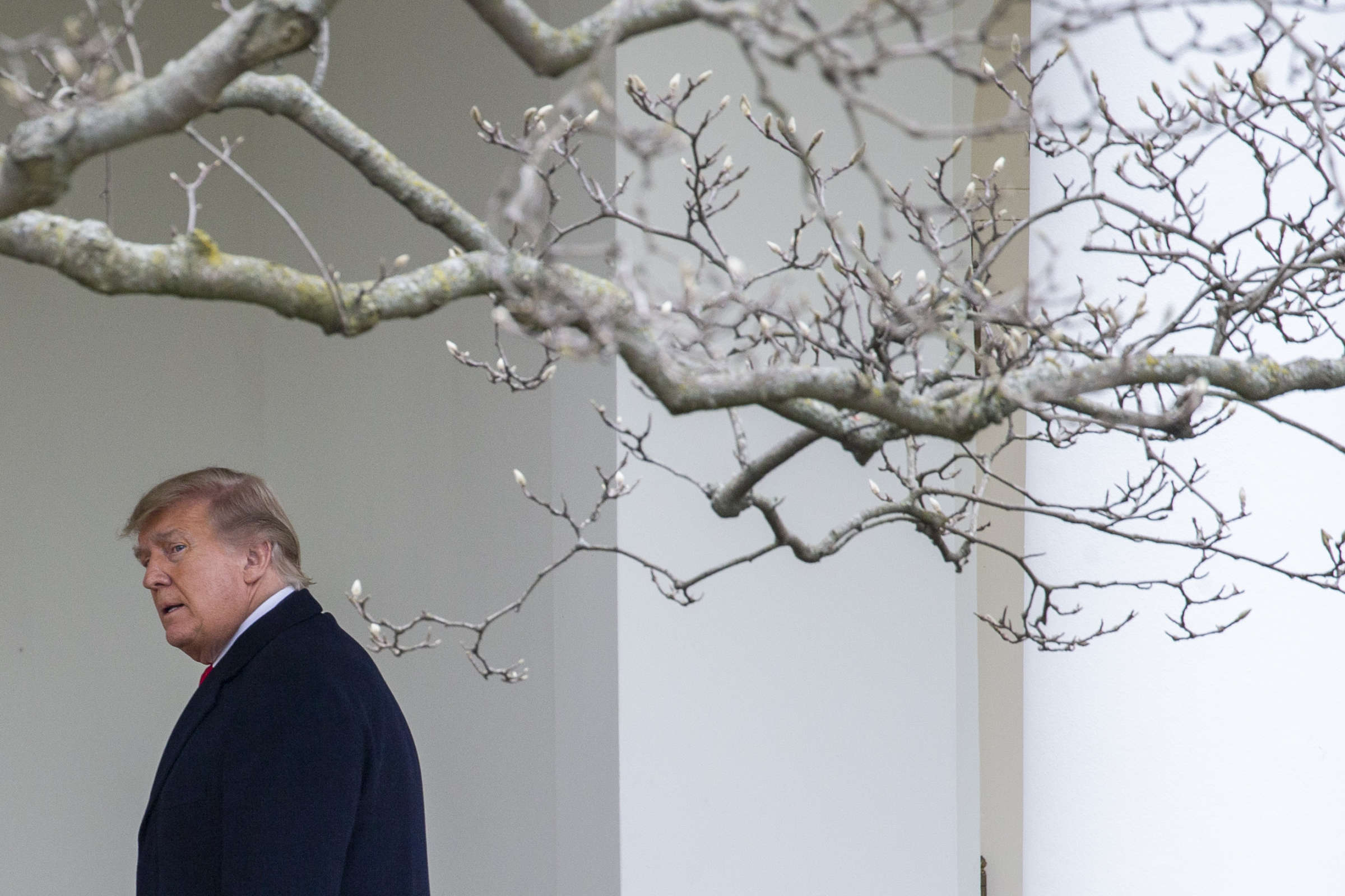 Trump's Shadow Looms Large Over Canada's Election Trump's Shadow Looms Large Over Canada's Election