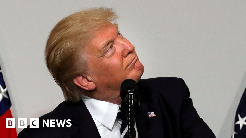 Trump's Trade Agenda: A Risk Assessment Amidst Economic Uncertainty Trump's Trade Agenda: A Risk Assessment Amidst Economic Uncertainty