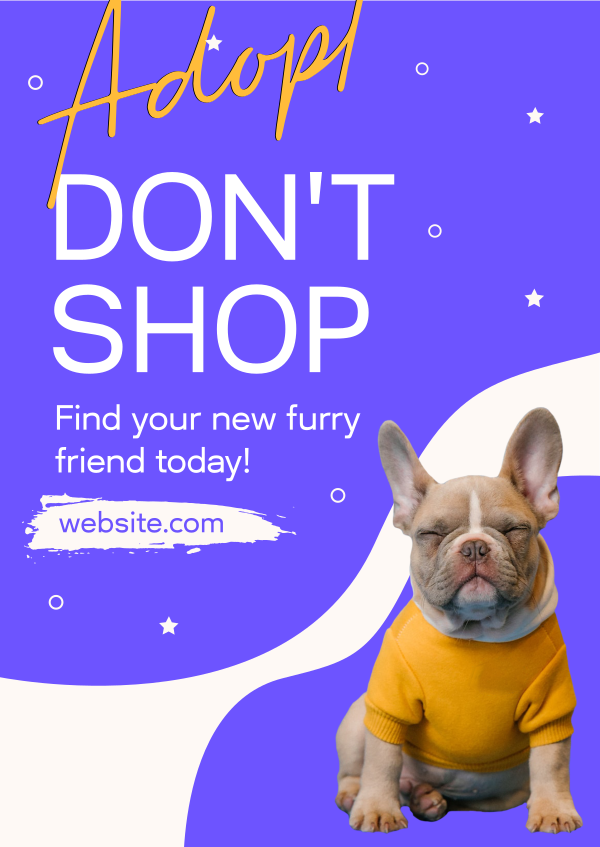 Uber Mumbai: Pet Travel Guide - How To Book With Your Furry Friend Uber Mumbai: Pet Travel Guide - How To Book With Your Furry Friend