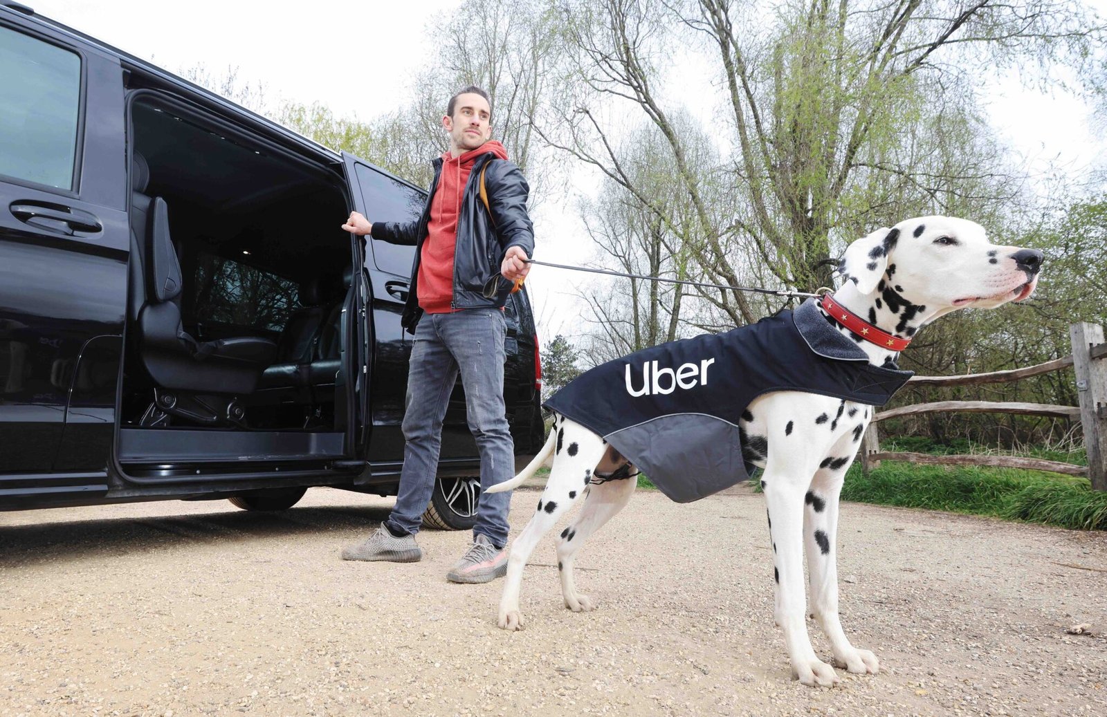 Uber Pet Policy Mumbai: How To Travel With Your Pet Uber Pet Policy Mumbai: How To Travel With Your Pet