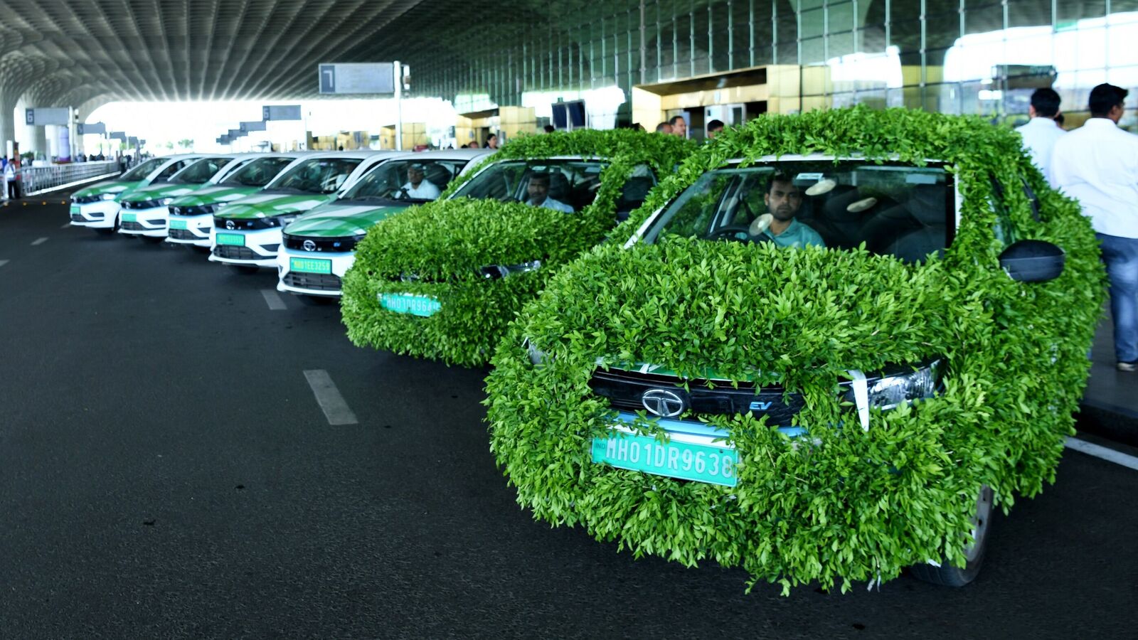Uber's Pet Transport Service Launches In Delhi And Mumbai Uber's Pet Transport Service Launches In Delhi And Mumbai
