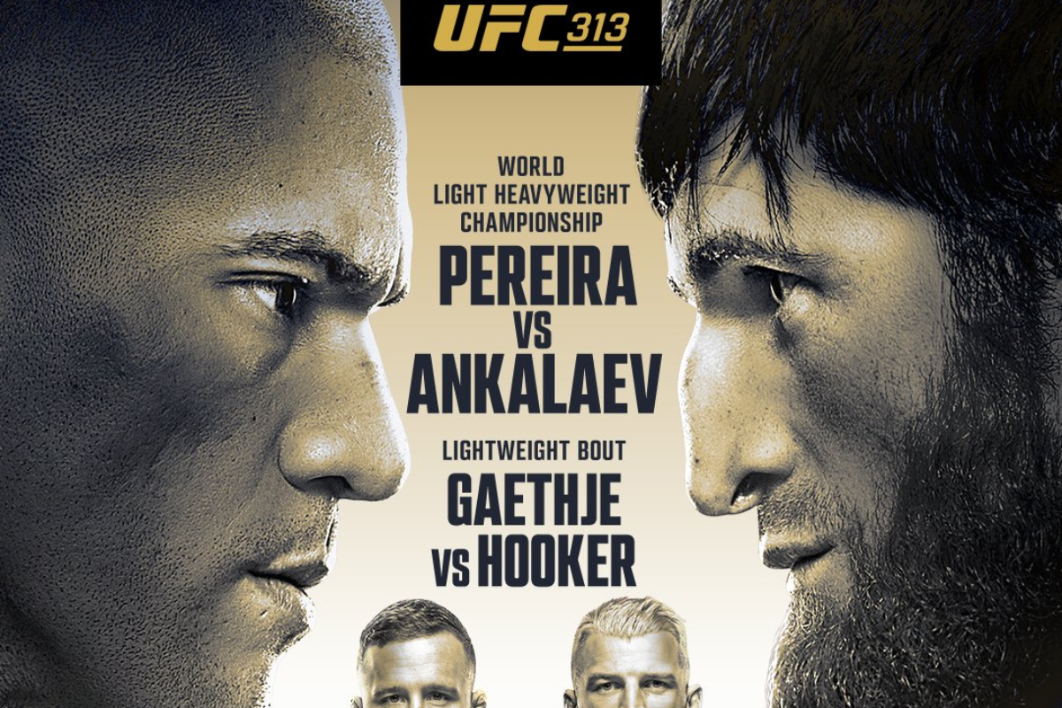 UFC 313: Fight Card Preview And Winning Picks UFC 313: Fight Card Preview And Winning Picks