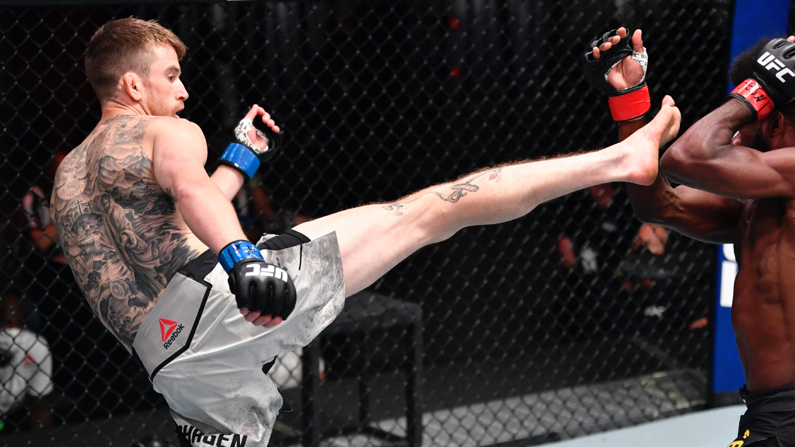 UFC On ESPN 67: Sandhagen Vs. Figueiredo Fight Night Recap And Analysis UFC On ESPN 67: Sandhagen Vs. Figueiredo Fight Night Recap And Analysis