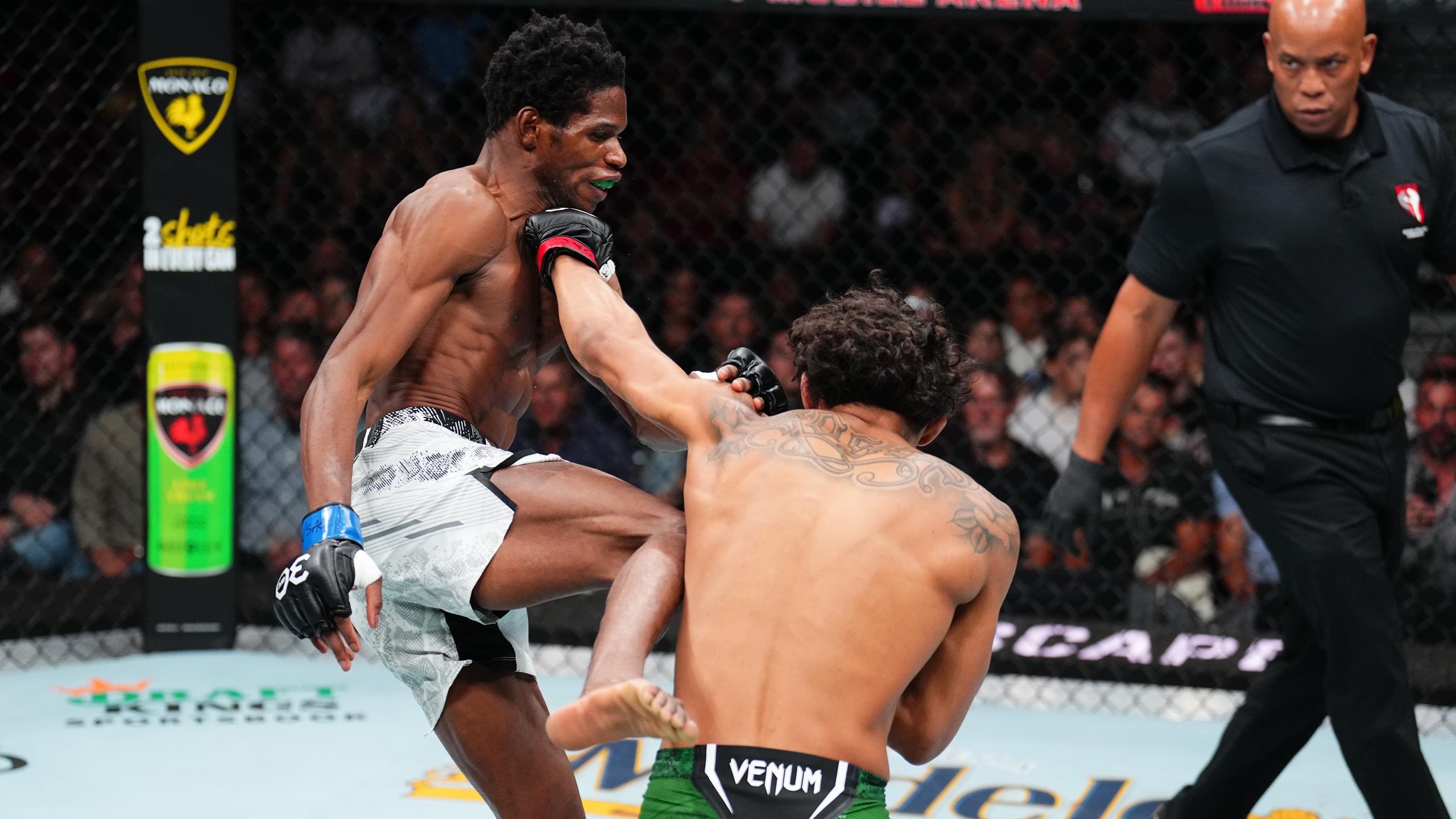 UFC Veteran's Return: Year-Long Hiatus Ends In Bantamweight Bout UFC Veteran's Return: Year-Long Hiatus Ends In Bantamweight Bout
