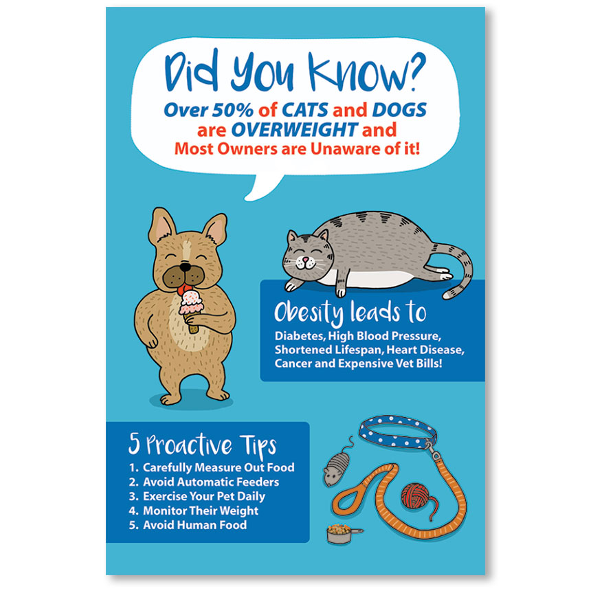 UK Vets Reveal How Corporate Targets Inflate Pet Bills