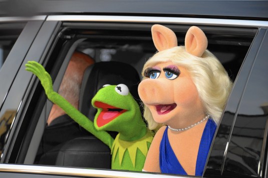 UMD Commencement 2025: Kermit The Frog To Address Graduates UMD Commencement 2025: Kermit The Frog To Address Graduates