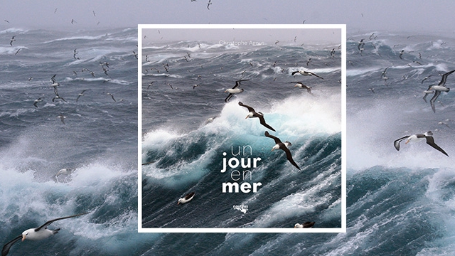 Un Jour En Mer:  Conseils Pratiques Pour Une Sortie Réussie