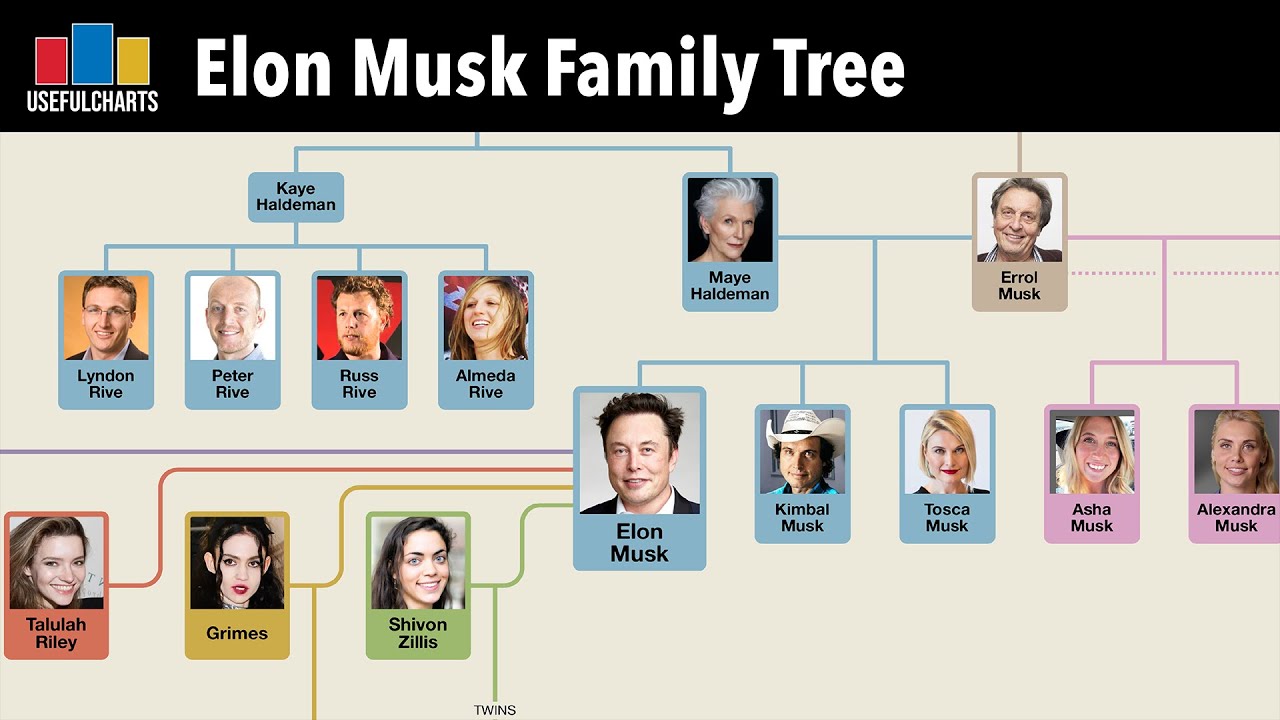 Understanding Elon Musk's Family Wealth: A Perspective From Maye Musk Understanding Elon Musk's Family Wealth: A Perspective From Maye Musk
