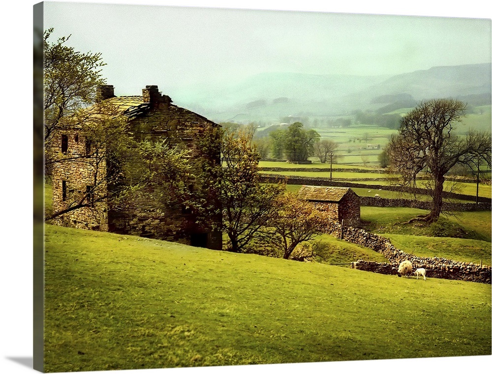 Understanding Our Great Yorkshire Life: From Dales To Coast Understanding Our Great Yorkshire Life: From Dales To Coast