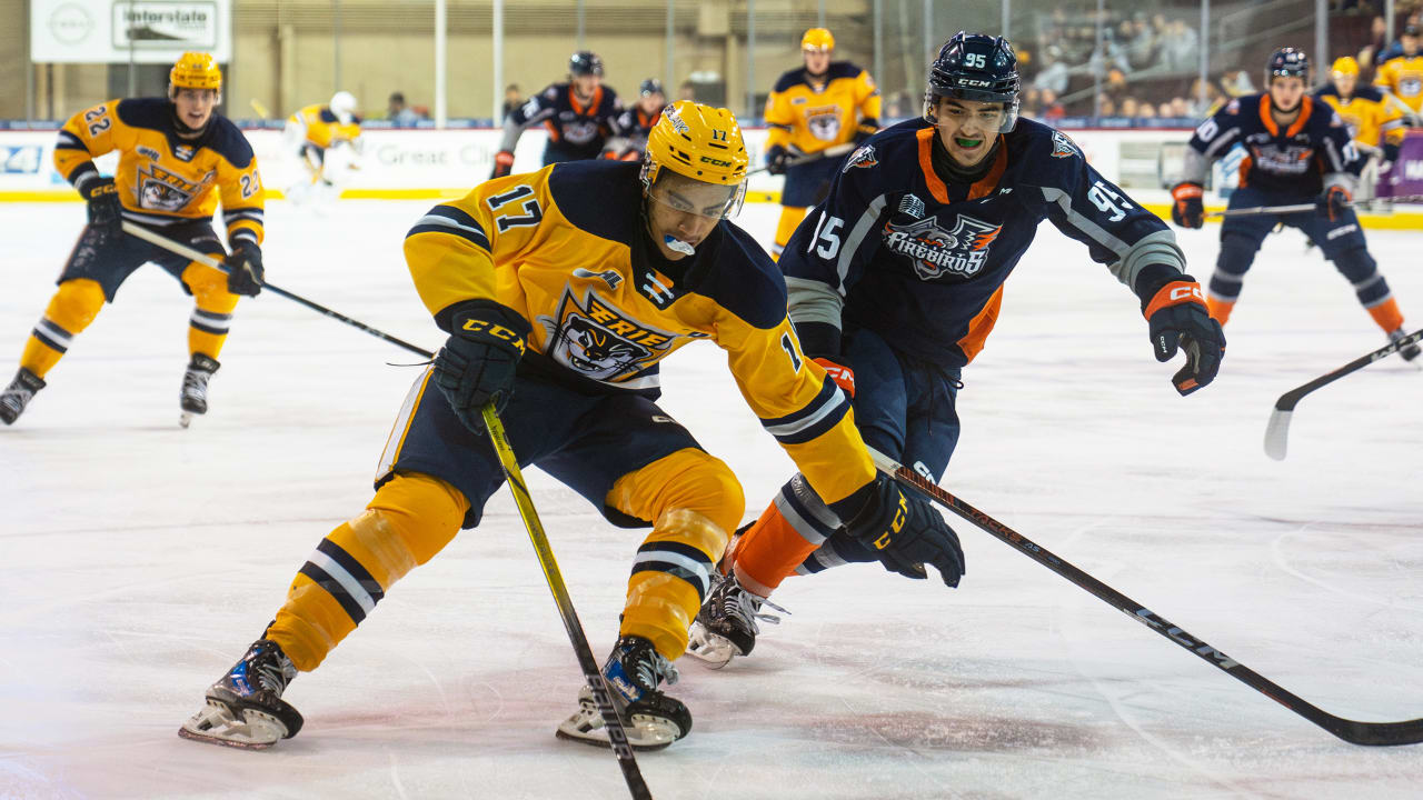 Understanding The 2025 NHL Draft Lottery: Key Information For Utah Hockey Fans Understanding The 2025 NHL Draft Lottery: Key Information For Utah Hockey Fans