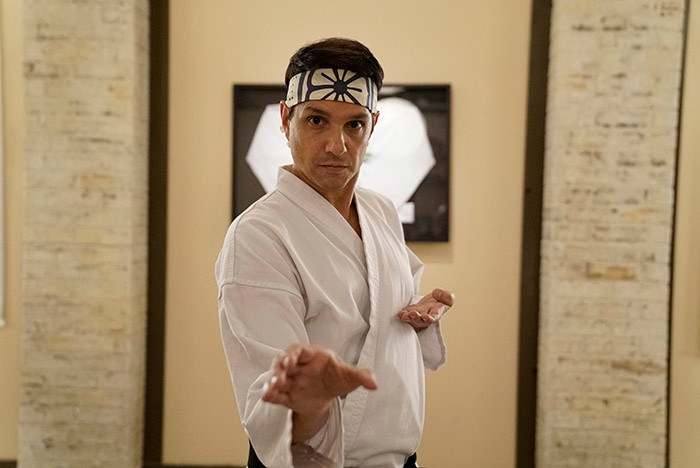 Understanding The Cobra Kai - Karate Kid Relationship On Netflix Understanding The Cobra Kai - Karate Kid Relationship On Netflix