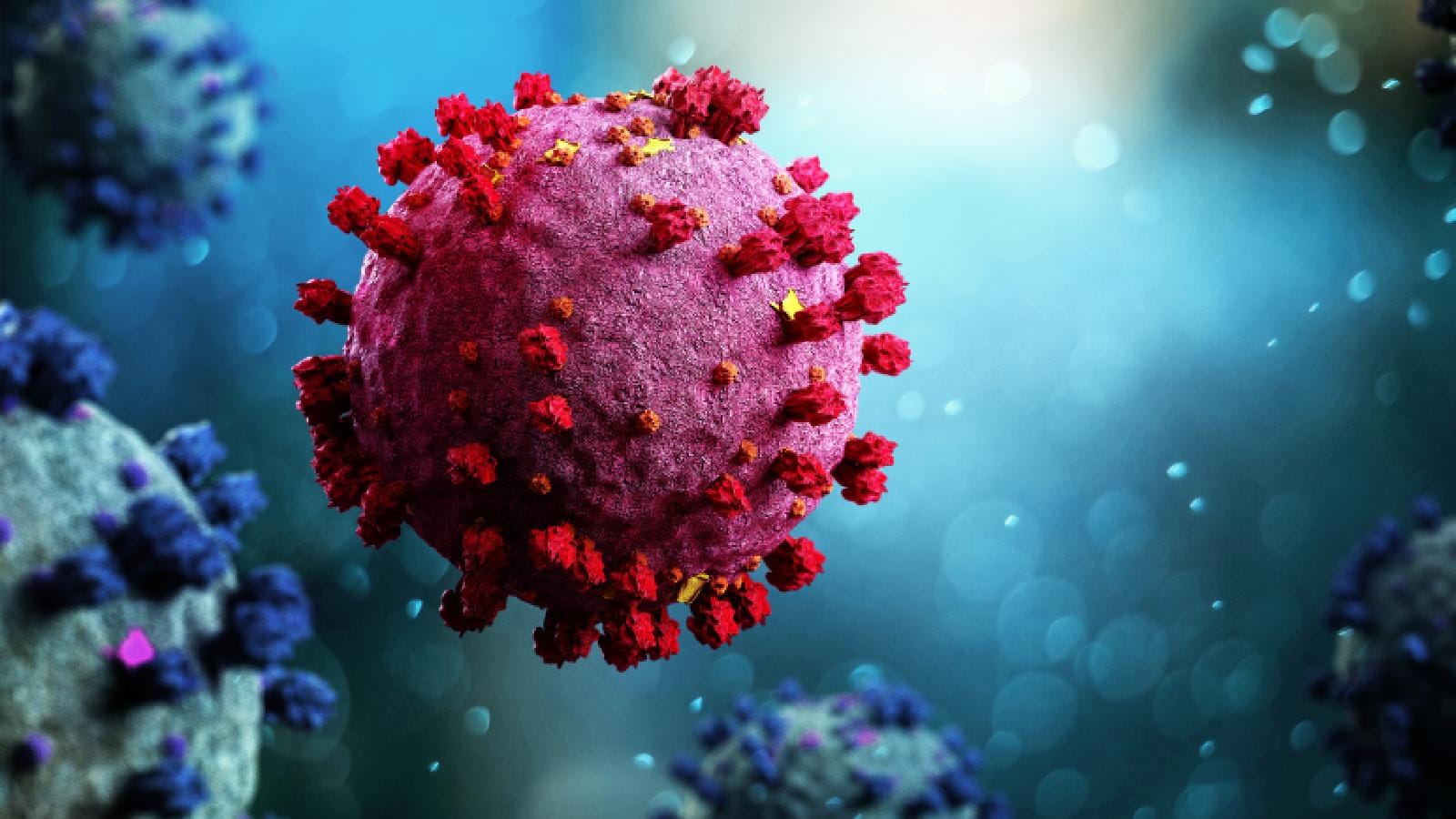 Understanding The JN.1 COVID-19 Variant Outbreak In India Understanding The JN.1 COVID-19 Variant Outbreak In India