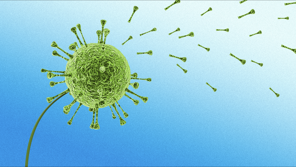 Understanding The Potential Impact Of A New COVID-19 Variant On Case Counts Understanding The Potential Impact Of A New COVID-19 Variant On Case Counts