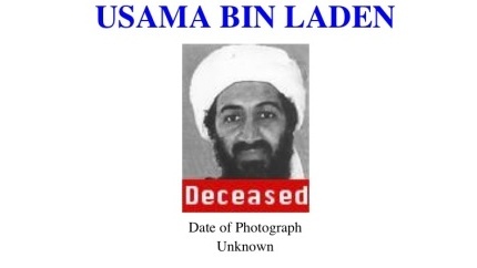 Unveiling Bin Laden's Capture: A Critical Phone Call On Netflix Unveiling Bin Laden's Capture: A Critical Phone Call On Netflix