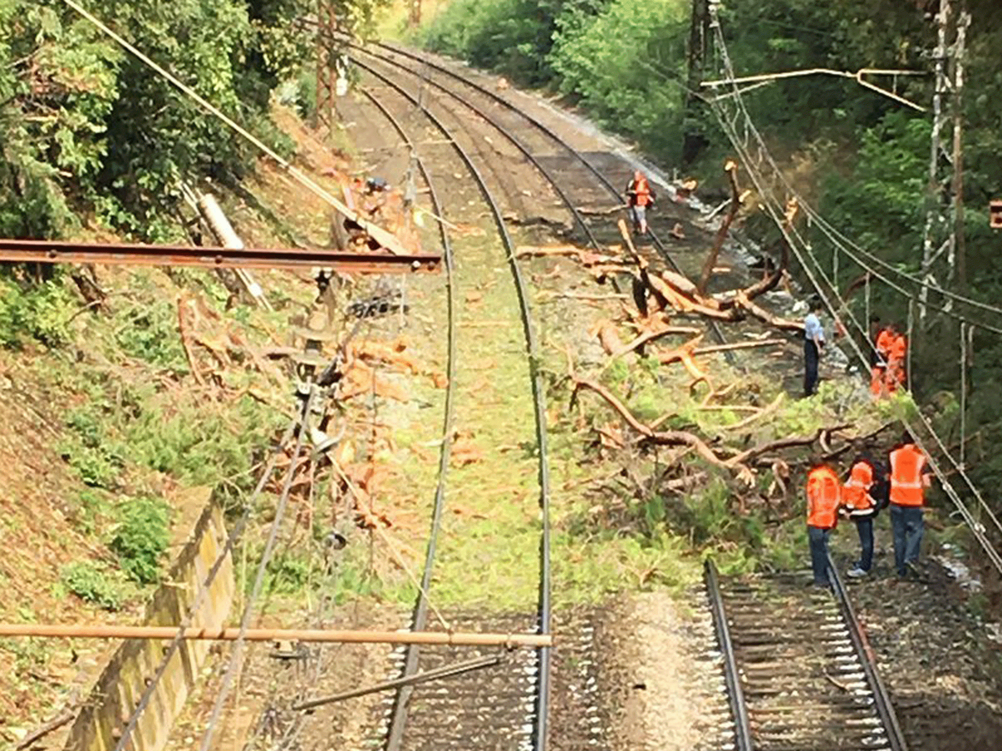 Urgent Search: Child Missing After Train Hits Family, Killing Two Urgent Search: Child Missing After Train Hits Family, Killing Two