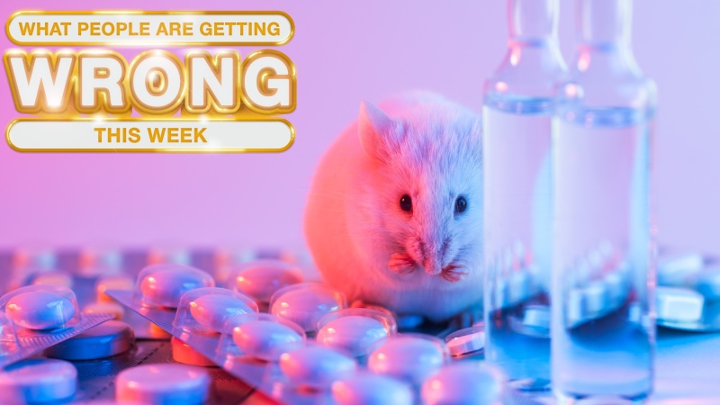 US Funding Of Transgender Mouse Research: Separating Fact From Fiction US Funding Of Transgender Mouse Research: Separating Fact From Fiction