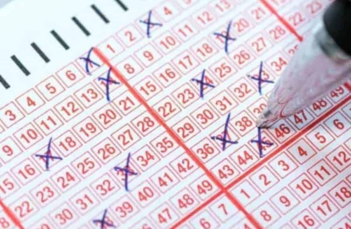 View The Daily Lotto Results - Thursday, April 17, 2025 View The Daily Lotto Results - Thursday, April 17, 2025