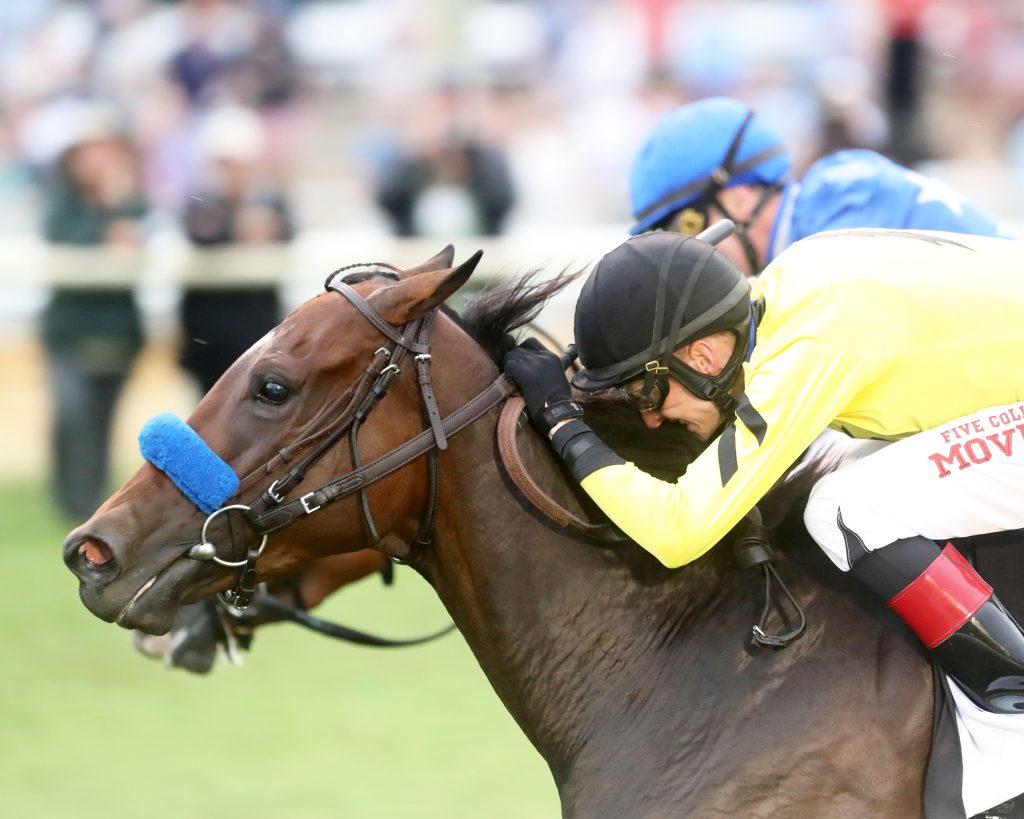 Virginia Derby 2024: Stone's Confirmation At Colonial Downs Virginia Derby 2024: Stone's Confirmation At Colonial Downs