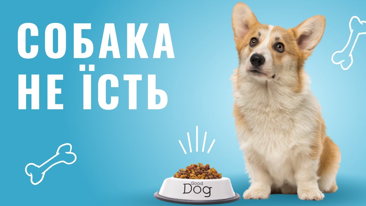 Війна В Україні: Причини Відмови Путіна Від Миру. Війна В Україні: Причини Відмови Путіна Від Миру.