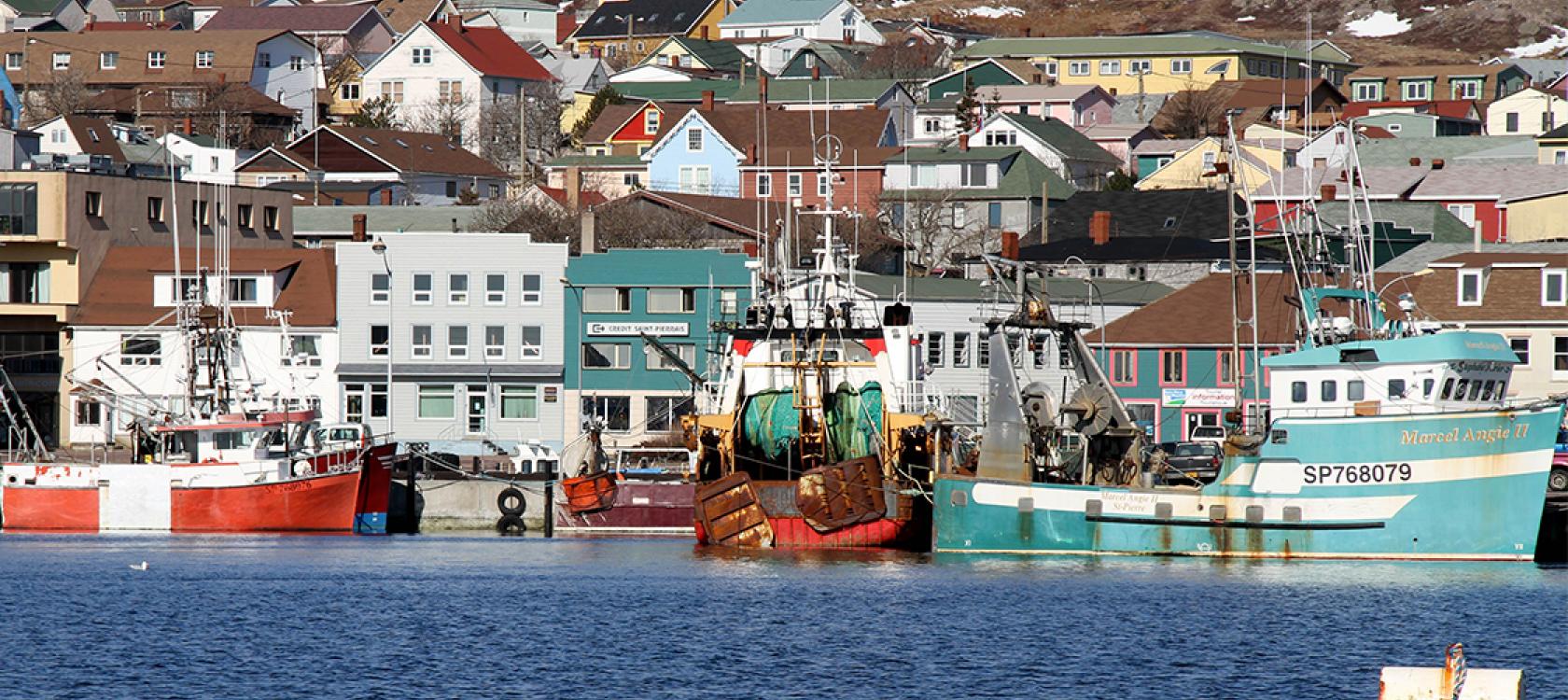 Wauquiez's OQTF Proposal: Retailleau's Response For Saint-Pierre-et-Miquelon Wauquiez's OQTF Proposal: Retailleau's Response For Saint-Pierre-et-Miquelon