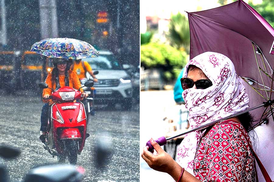 WB Rain Alert: Latest Weather Update From Met Department For North Bengal WB Rain Alert: Latest Weather Update From Met Department For North Bengal