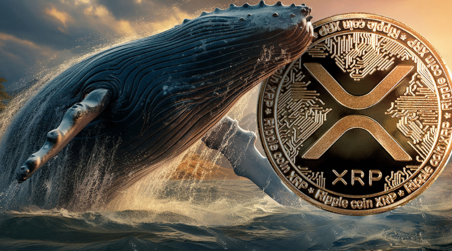 Whale Alert: 20 Million XRP Purchased - Market Reaction Whale Alert: 20 Million XRP Purchased - Market Reaction