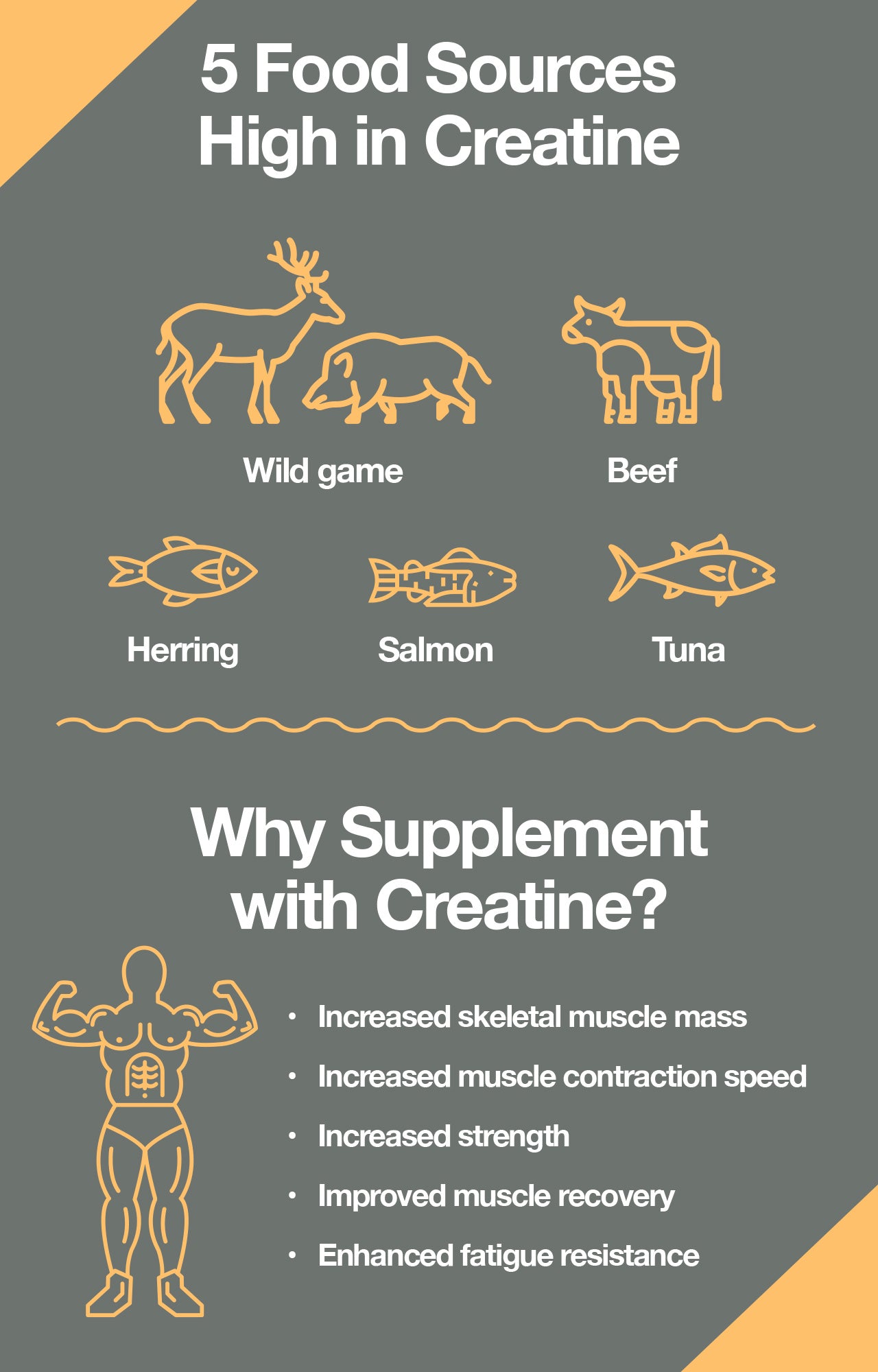 What Is Creatine And How Does It Work? What Is Creatine And How Does It Work?