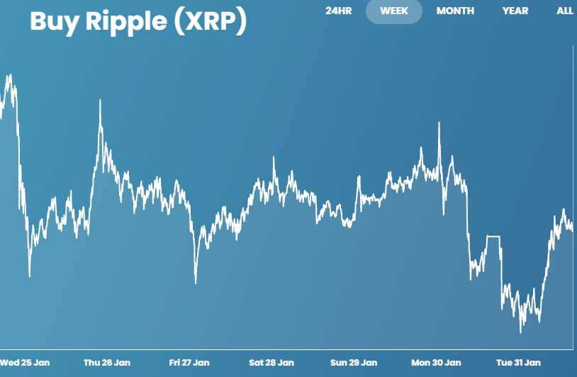 What Is XRP? A Comprehensive Guide For Beginners What Is XRP? A Comprehensive Guide For Beginners