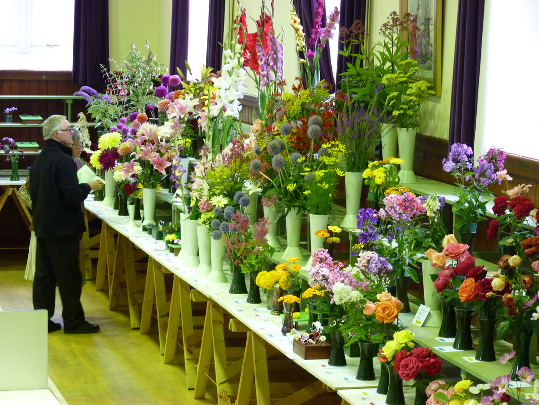 Wigan And Leigh College Students' Horticultural Skills Shine At Flower Show Wigan And Leigh College Students' Horticultural Skills Shine At Flower Show