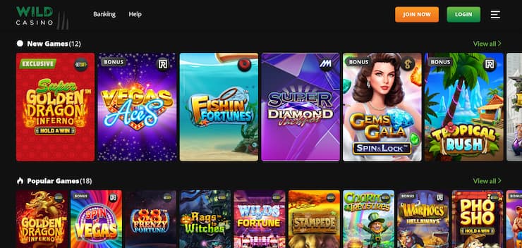 Wild Casino: Your Top Choice For US Real Money Online Gambling In 2025 Wild Casino: Your Top Choice For US Real Money Online Gambling In 2025