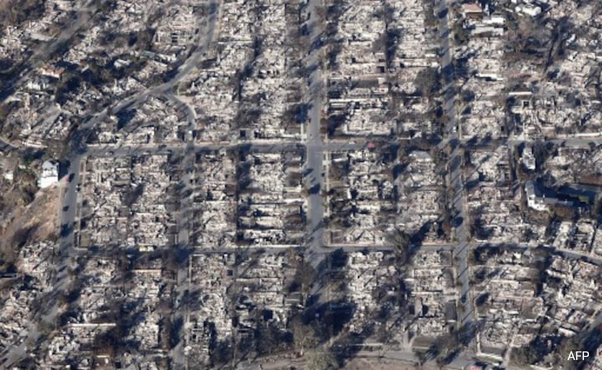 Wildfire Wagering: The Troubling Reality Of Betting On The Los Angeles Fires Wildfire Wagering: The Troubling Reality Of Betting On The Los Angeles Fires