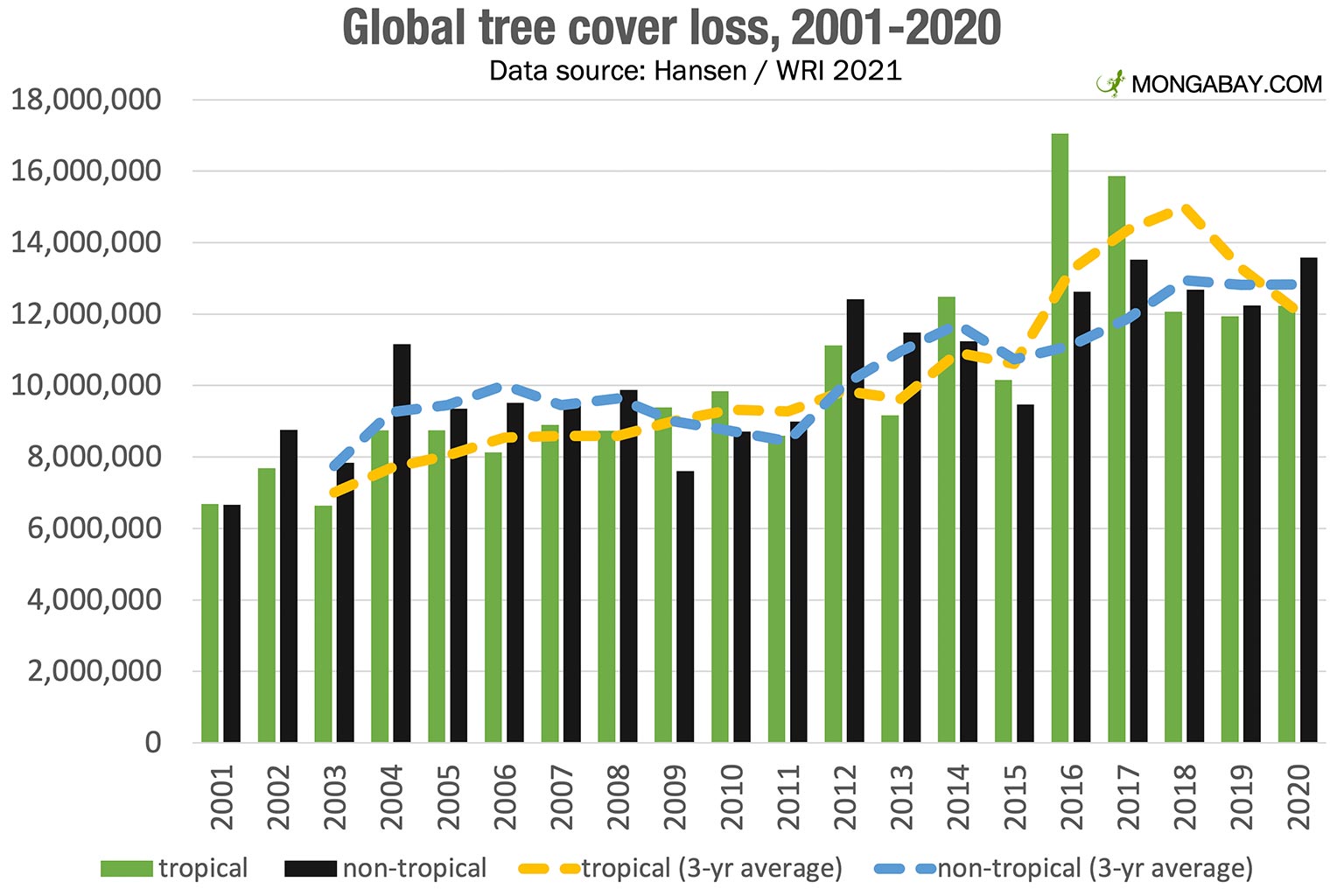 Wildfires Drive Unprecedented Global Forest Loss: A Record Year Wildfires Drive Unprecedented Global Forest Loss: A Record Year