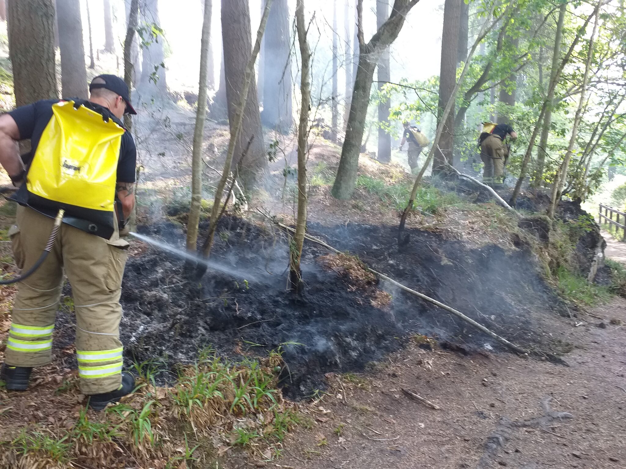 Wildfires Threaten UK's Rarest Wildlife With Extinction Wildfires Threaten UK's Rarest Wildlife With Extinction